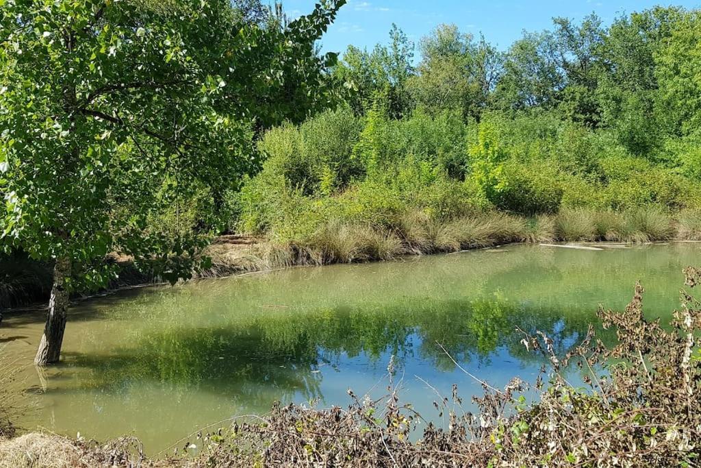 Gite De Campagne L'Estressol Cuq  Екстер'єр фото