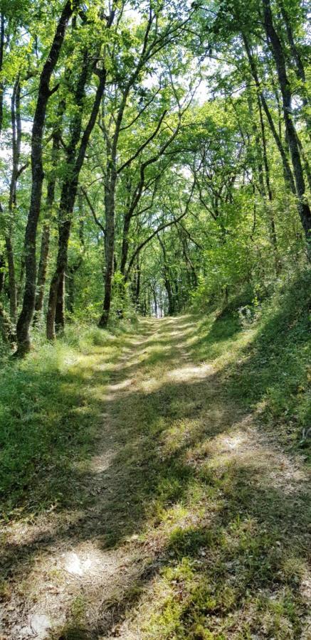 Gite De Campagne L'Estressol Cuq  Екстер'єр фото